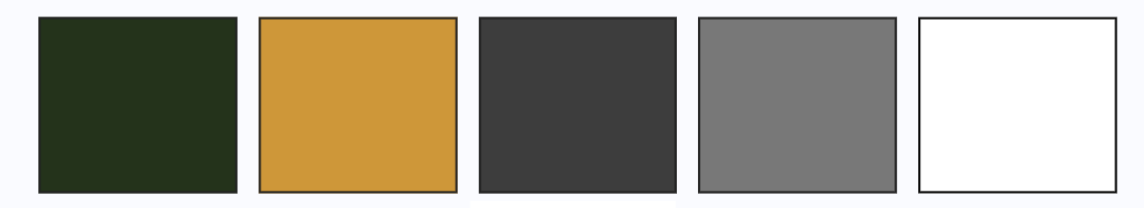 Refreshed branding color palette